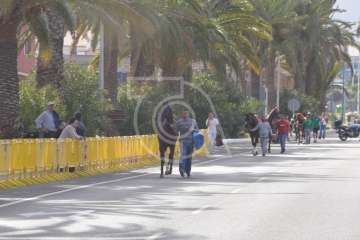 Carreras de caballo de San Gregorio Taumaturgo 2018